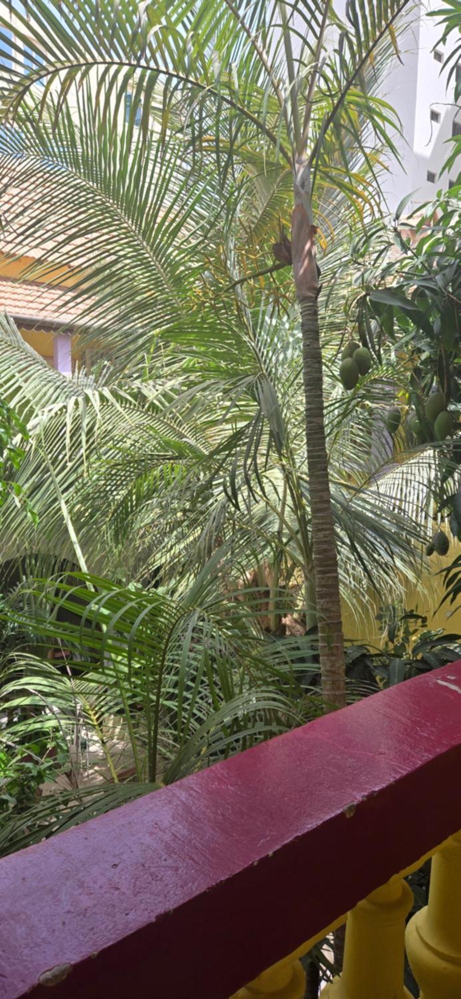 Hotel Saint-Louis Sun Dakar Exterior foto